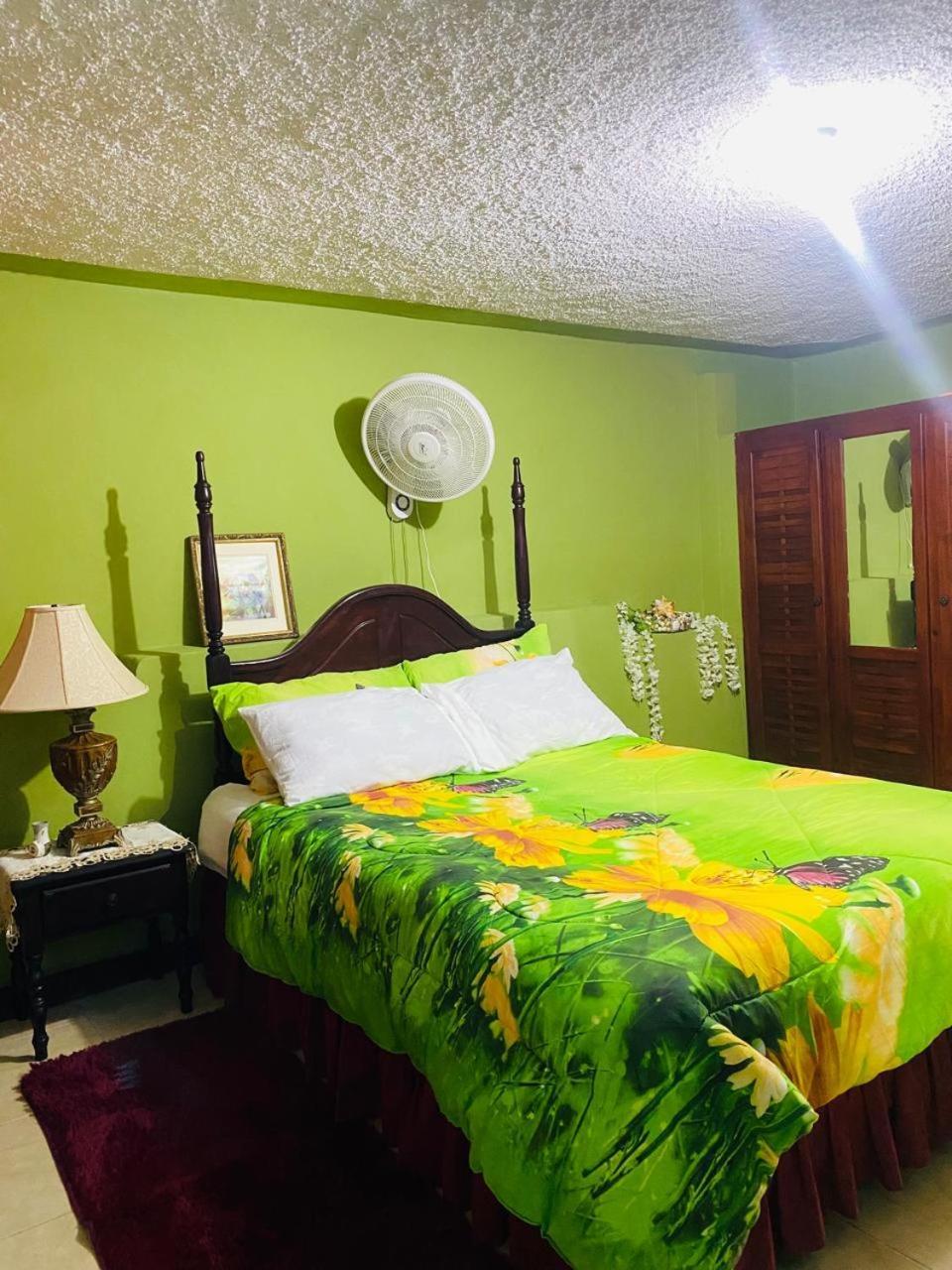 Cindy'S Garden Stay Ocho Rios Exterior foto